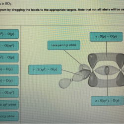 Label all bonds in so2.