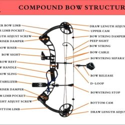 Bow and arrow parts diagram