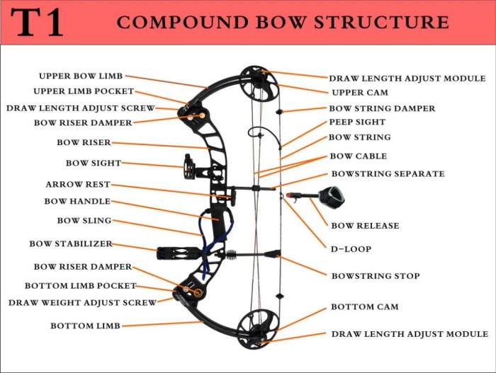 Bow and arrow parts diagram