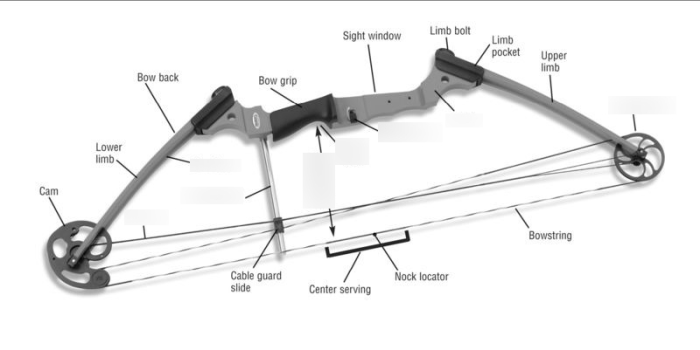 Bow compound archery lancasterarchery