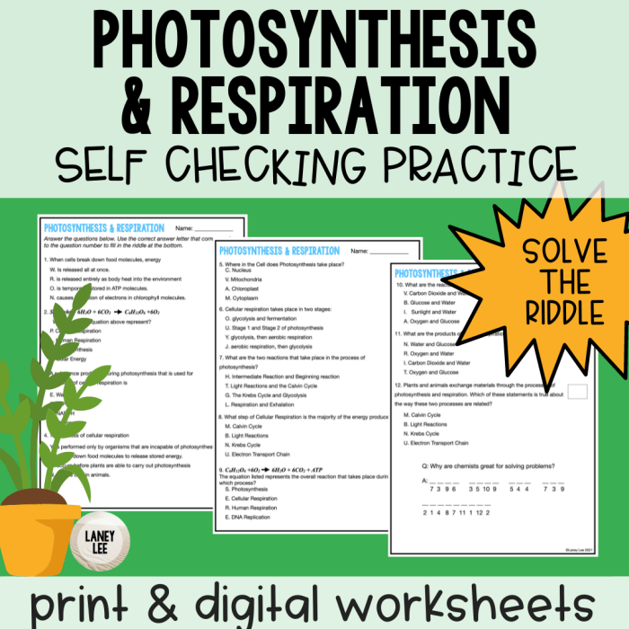 Cellular respiration webquest answer key