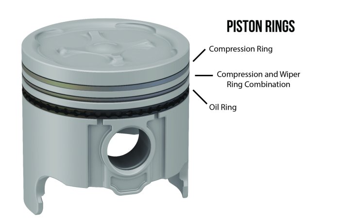 Ring compressor piston small engine range lisle tool