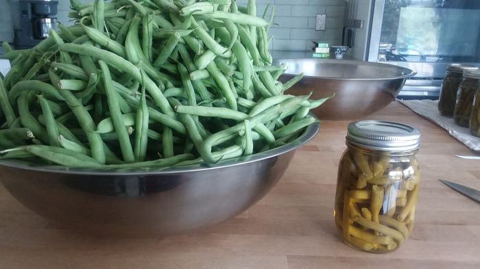 Pears canning