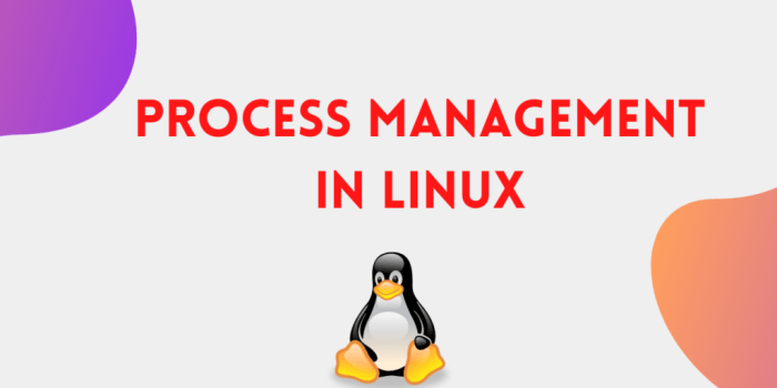 Lab 9-1 managing linux processes