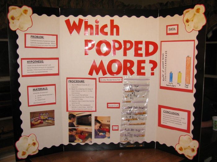 Science popcorn fair project projects grade school board experiment pops microwave 4th 3rd stem experiments brand hypothesis boards why sunsets