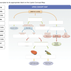 Drag the descriptor to its appropriate fatty acid classification.