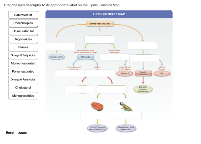 Drag the descriptor to its appropriate fatty acid classification.