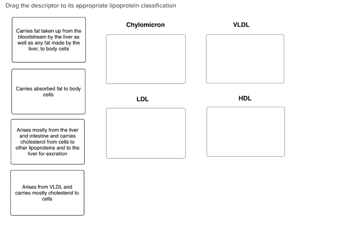 Derived fatty lipids