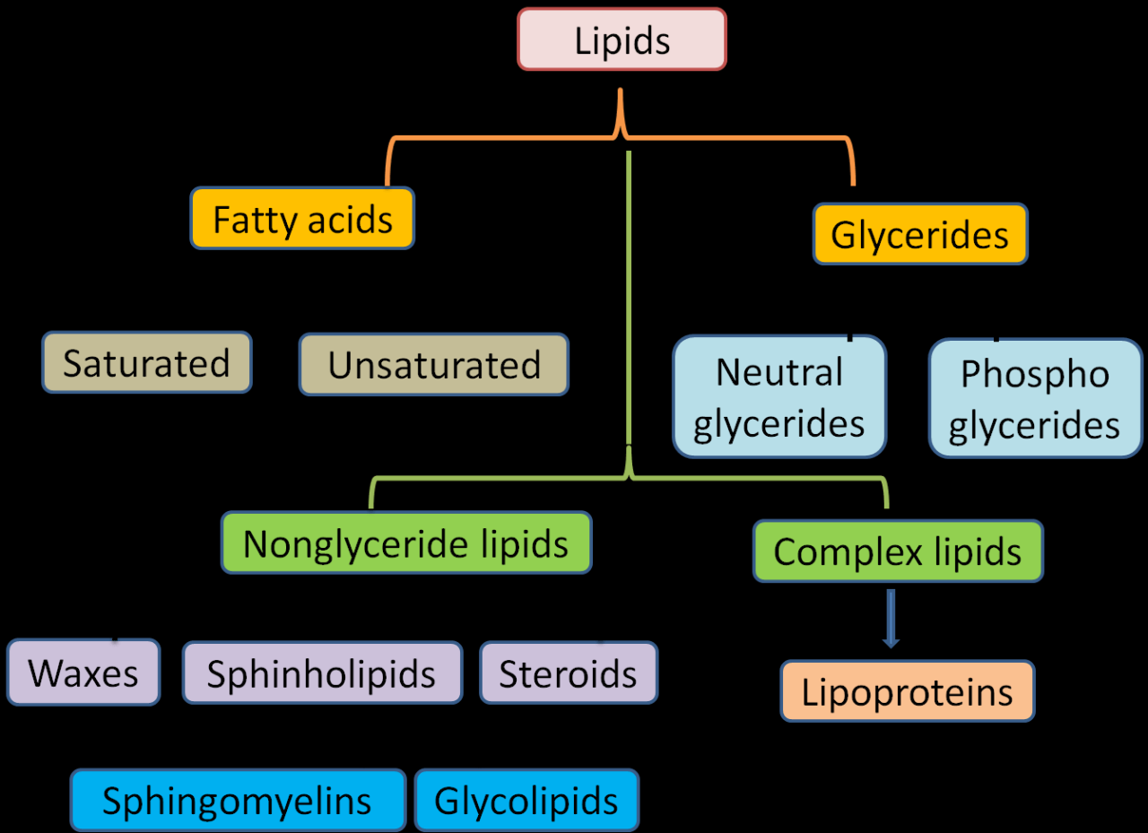 Drag the descriptor to its appropriate fatty acid classification.